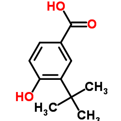 4-Hydroxy-3-(2-methyl-2-propanyl)benzoic acid structure