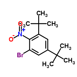 1-Bromo-3,5-di-tert-butyl-2-nitrobenzene结构式