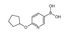 6-(cyclopentyloxy)pyridine-3-boronic acid结构式