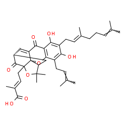 Isogambogenic acid structure