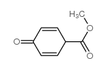 2,5-Cyclohexadiene-1-carboxylicacid,4-oxo-,methylester(9CI) picture