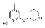 4-Methyl-2-(piperidin-3-yloxy)-pyridine hydrochloride picture