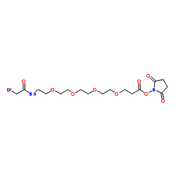 Bromoacetamido-PEG4-NHS ester结构式
