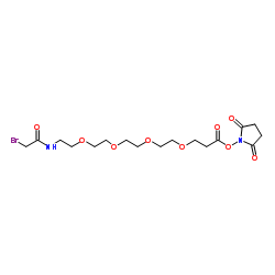 Bromoacetamido-PEG4-NHS ester picture