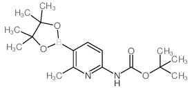 TERT-BUTYL (6-METHYL-5-(4,4,5,5-TETRAMETHYL-1,3,2-DIOXABOROLAN-2-YL)PYRIDIN-2-YL)CARBAMATE picture