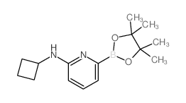 N-Cyclobutyl-6-(4,4,5,5-tetramethyl-1,3,2-dioxaborolan-2-yl)pyridin-2-amine Structure