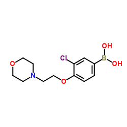 (3-chloro-4-(2-Morpholinoethoxy)phenyl)boronic acid Structure