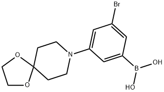 3-Bromo-5-(1,4-dioxa-8-azaspiro[4.5]decan-8-yl)phenylboronic acid图片