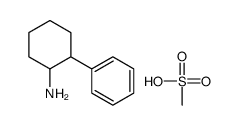 methanesulfonic acid, (1R,2R)-2-phenylcyclohexan-1-amine结构式
