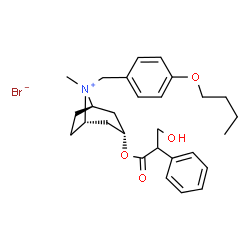 N-(4-Butoxybenzyl)atropine bromide结构式