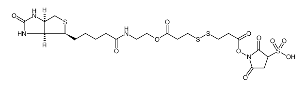 Propanoic acid, 3-[[3-[(2,5-dioxo-3-sulfo-1-pyrrolidinyl)oxy]-3-oxopropyl]dithio]-, 1-[2-[[5-[(3aS,4S,6aR)-hexahydro-2-oxo-1H-thieno[3,4-d]imidazol-4-yl]-1-oxopentyl]amino]ethyl] ester Structure