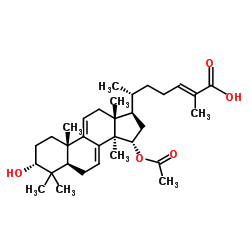 灵芝酸X图片