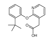 2-[2-(2-tert-butylphenoxy)pyridin-3-yl]acetic acid结构式