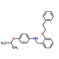 4-Isopropoxy-N-[2-(2-phenylethoxy)benzyl]aniline Structure