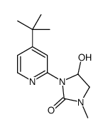 3-(4-tert-butylpyridin-2-yl)-4-hydroxy-1-methylimidazolidin-2-one结构式