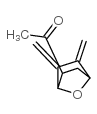 Ethanone, 1-[5,6-bis(methylene)-7-oxabicyclo[2.2.1]hept-2-yl]-, exo- (9CI) Structure