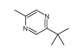 2-(1,1-Dimethylethyl)-5-methylpyrazine picture