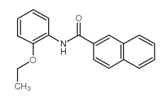 N-(2-ETHOXYPHENYL)-2-NAPHTHAMIDE Structure