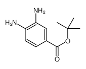 tert-butyl 3,4-diaminobenzoate结构式