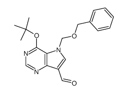 7-benzyloxymethyl-6-O-tert-butyl-9-deaza-9-formylhypoxanthine Structure