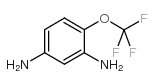 1,3-DIAMINE-4-TRIFLUOROMETHOXYBENZENE图片