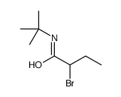 2-bromo-N-tert-butylbutanamide Structure