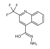 2-(trifluoromethyl)quinoline-4-carbohydrazide structure