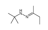 N-[(E)-butan-2-ylideneamino]-2-methylpropan-2-amine结构式