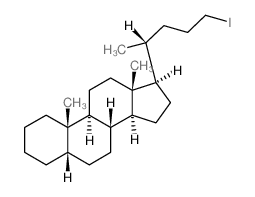 Cholane, 24-iodo-, (5b)- (9CI) Structure