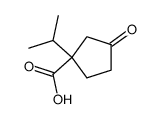 1-isopropyl-3,3-dimethoxyyclopentanecarboxylate Structure