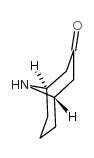 9-azabicyclo[3.3.1]nonan-3-one picture