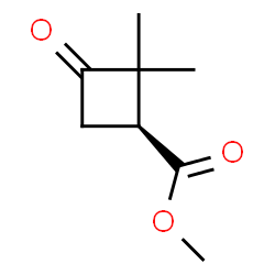 Cyclobutanecarboxylic acid, 2,2-dimethyl-3-oxo-, methyl ester, (1S)- (9CI)结构式