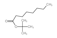 Octanoic acid,1,1-dimethylethyl ester Structure