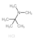 N,N,2-trimethylpropan-2-amine Structure