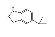 5-tert-butyl-2,3-dihydro-1H-indole Structure