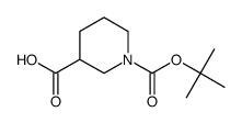 1,3-Piperidinedicarboxylicacid 1-tert-butyl ester picture