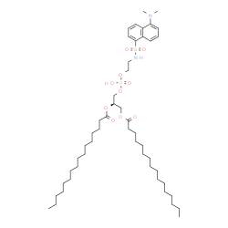 1,2-DIHEXADECANOYL-SN-GLYCERO-3-PHOSPHO-[N-DANSYL]ETHANOLAMINE结构式
