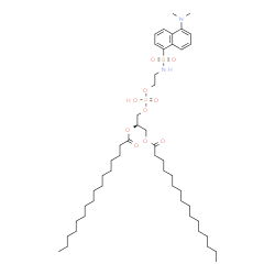 1,2-DIHEXADECANOYL-SN-GLYCERO-3-PHOSPHO-[N-DANSYL]ETHANOLAMINE picture