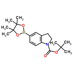 tert-butyl 5-(4,4,5,5-tetramethyl-1,3,2-dioxaborolan-2-yl)indoline-1-carboxylate picture