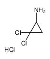 2,2-dichlorocyclopropan-1-amine,hydrochloride结构式