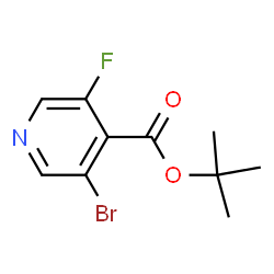 3-BROMO-5-FLUORO-ISONICOTINIC ACID TERT-BUTYL ESTER structure