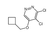 3,4-Dichloro-5-(cyclobutylmethoxy)pyridazine结构式