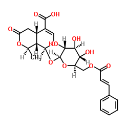 6'-O-Cinnamoyl-8-epikingisidic acid Structure