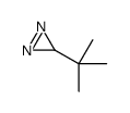 3-tert-Butyldiazirine structure