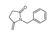 1-benzyl-5-methylidenepyrrolidin-2-one结构式
