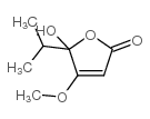 5,6-dihydropenicillic acid Structure