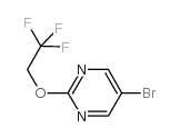 5-bromo-2-(2,2,2-trifluoroethoxy)pyrimidine picture