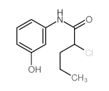 2-chloro-N-(3-hydroxyphenyl)pentanamide structure