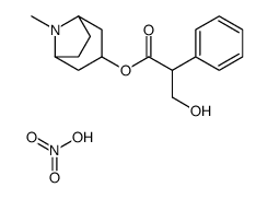 (8-methyl-8-azabicyclo[3.2.1]octan-3-yl) 3-hydroxy-2-phenylpropanoate,nitric acid Structure