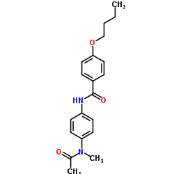 N-{4-[Acetyl(methyl)amino]phenyl}-4-butoxybenzamide Structure